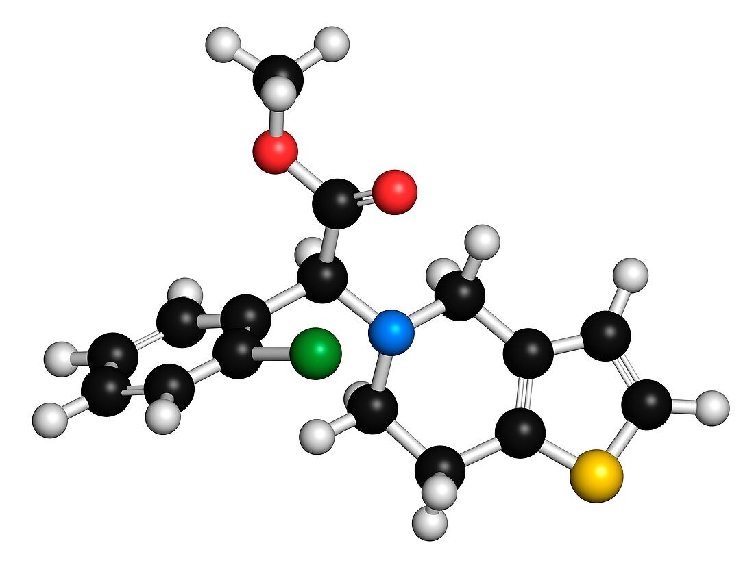 Clopidogrel antiplatelet agent molecule