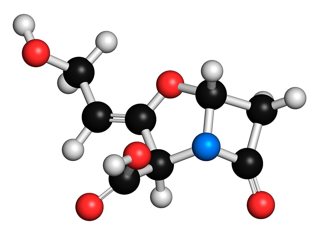 Beta-lactamase blocker drug