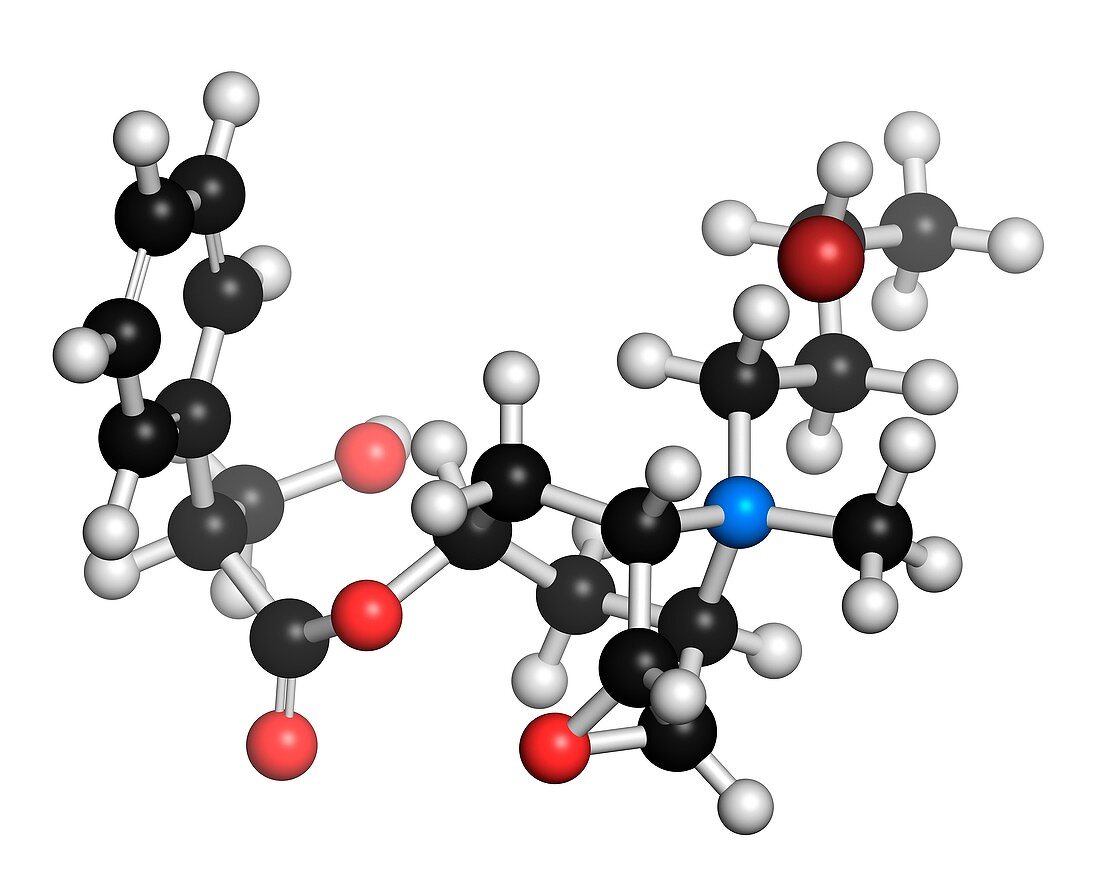 Butylscopolamine antispasmodic drug