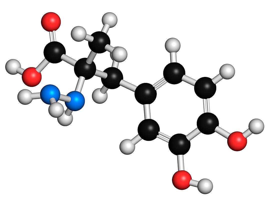 Carbidopa Parkinson's Disease drug