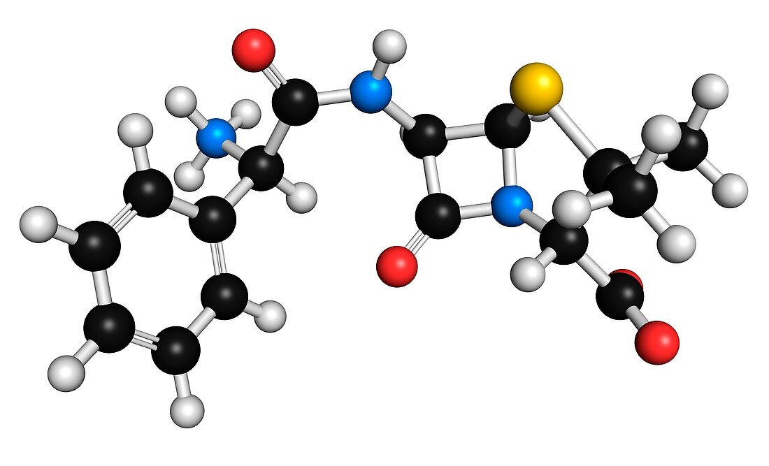Ampicillin antibiotic drug molecule