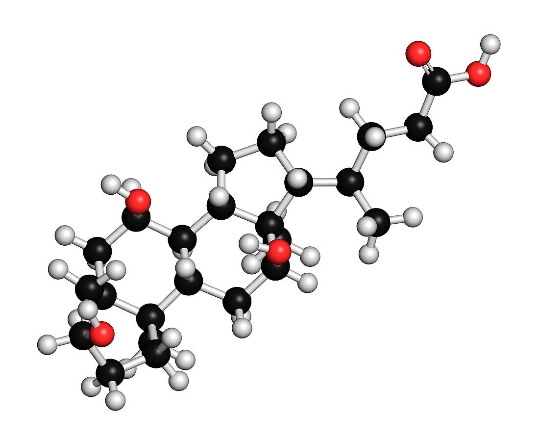 Bile acid molecule