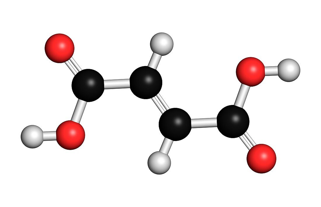 Fumaric acid molecule