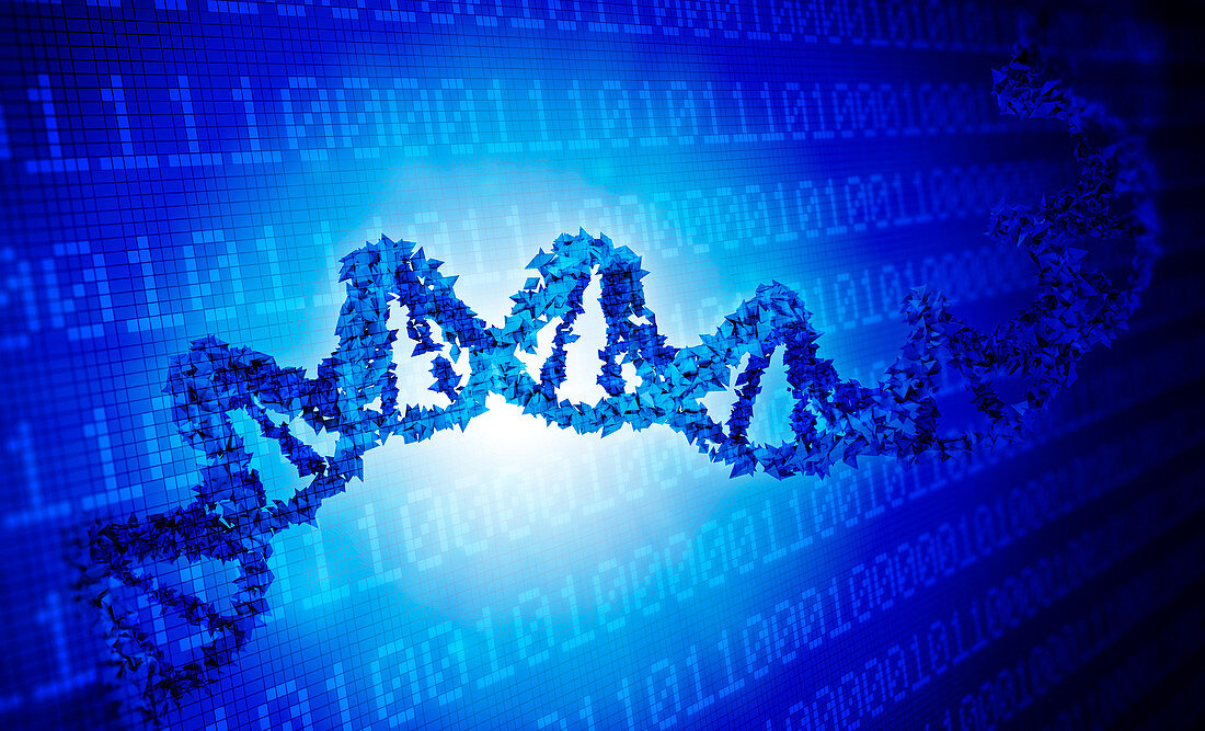 DNA and binary code,illustration