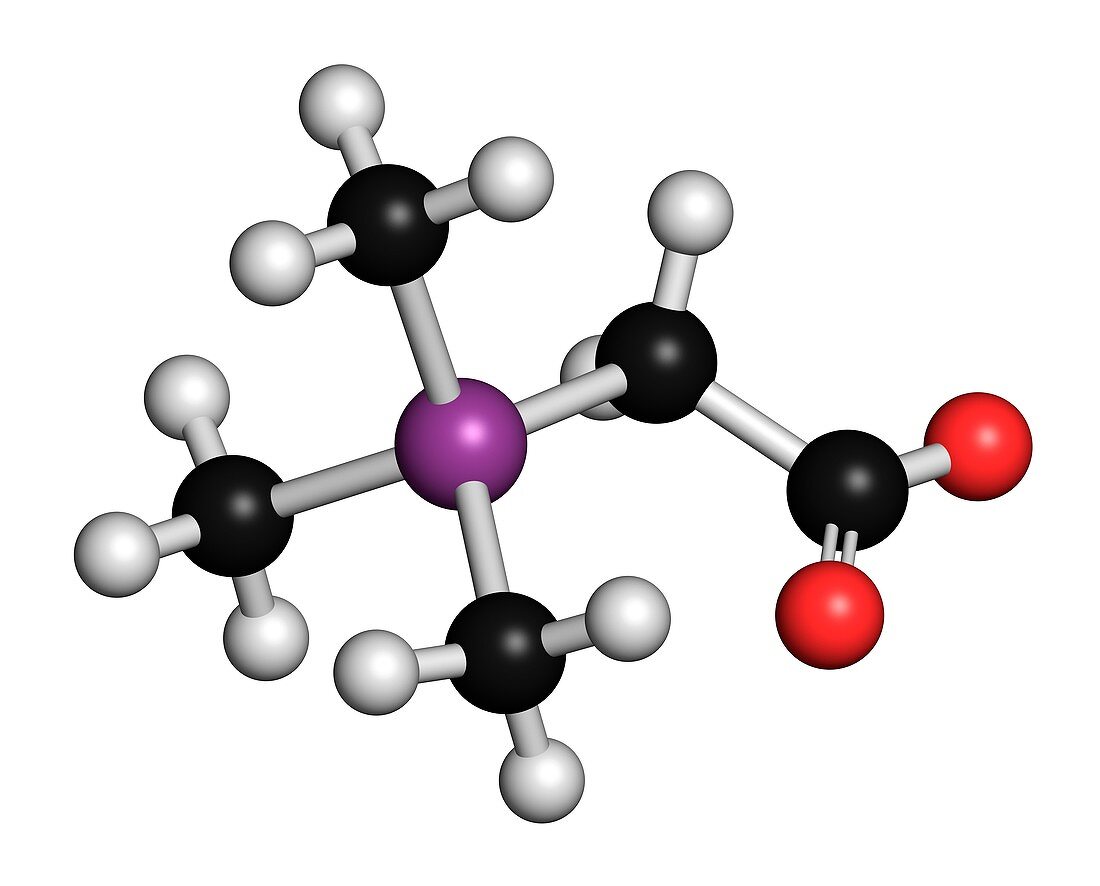 Arsenobetaine organoarsenic molecule