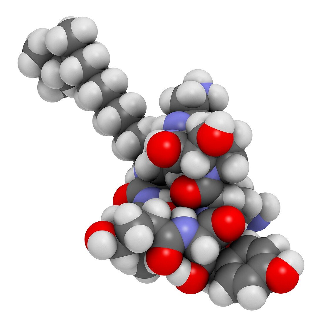 Caspofungin antifungal drug molecule
