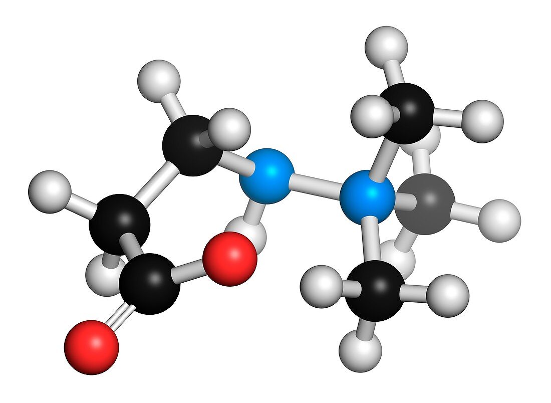 Meldonium anti-ischemic drug molecule