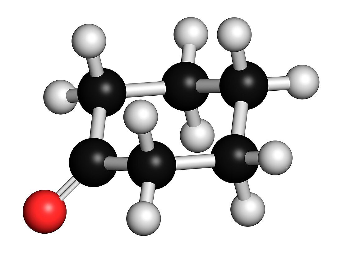 Cyclohexanone organic solvent molecule