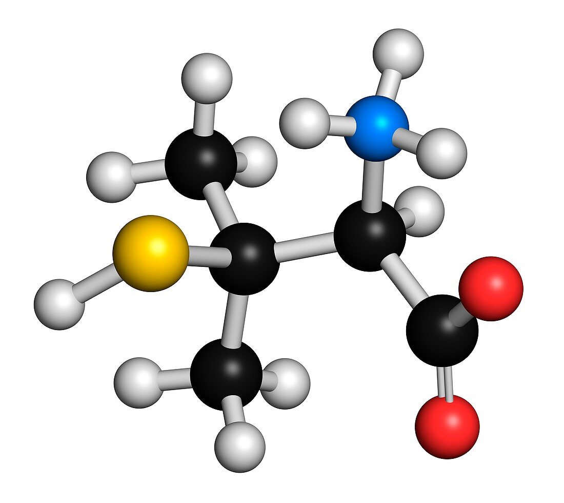 Penicillamine drug molecule