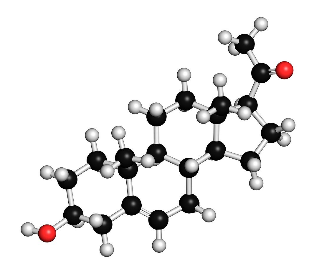 Pregnenolone hormone molecule