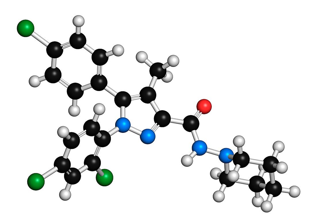 Rimonabant obesity drug molecule