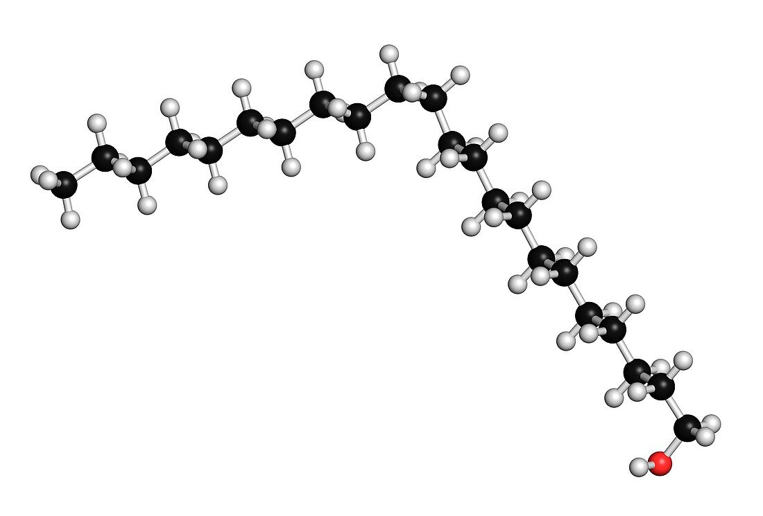 Docosanol antiviral drug molecule