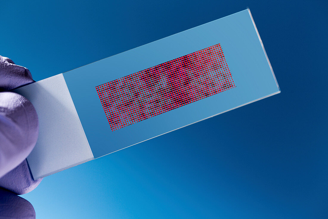 dna biochip