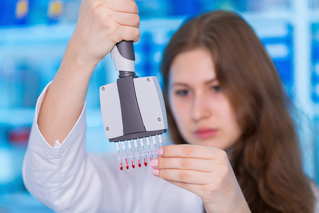 Lab assistant holding multi pipettes