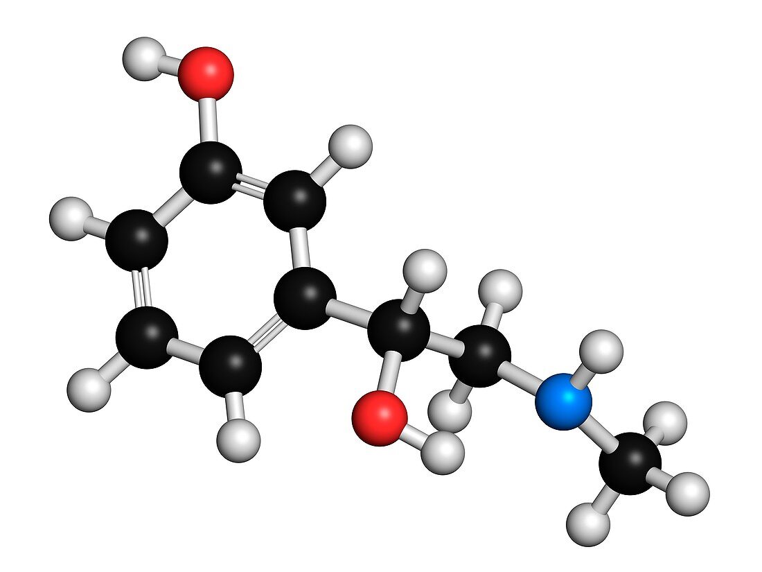 Phenylephrine decongestant drug molecule