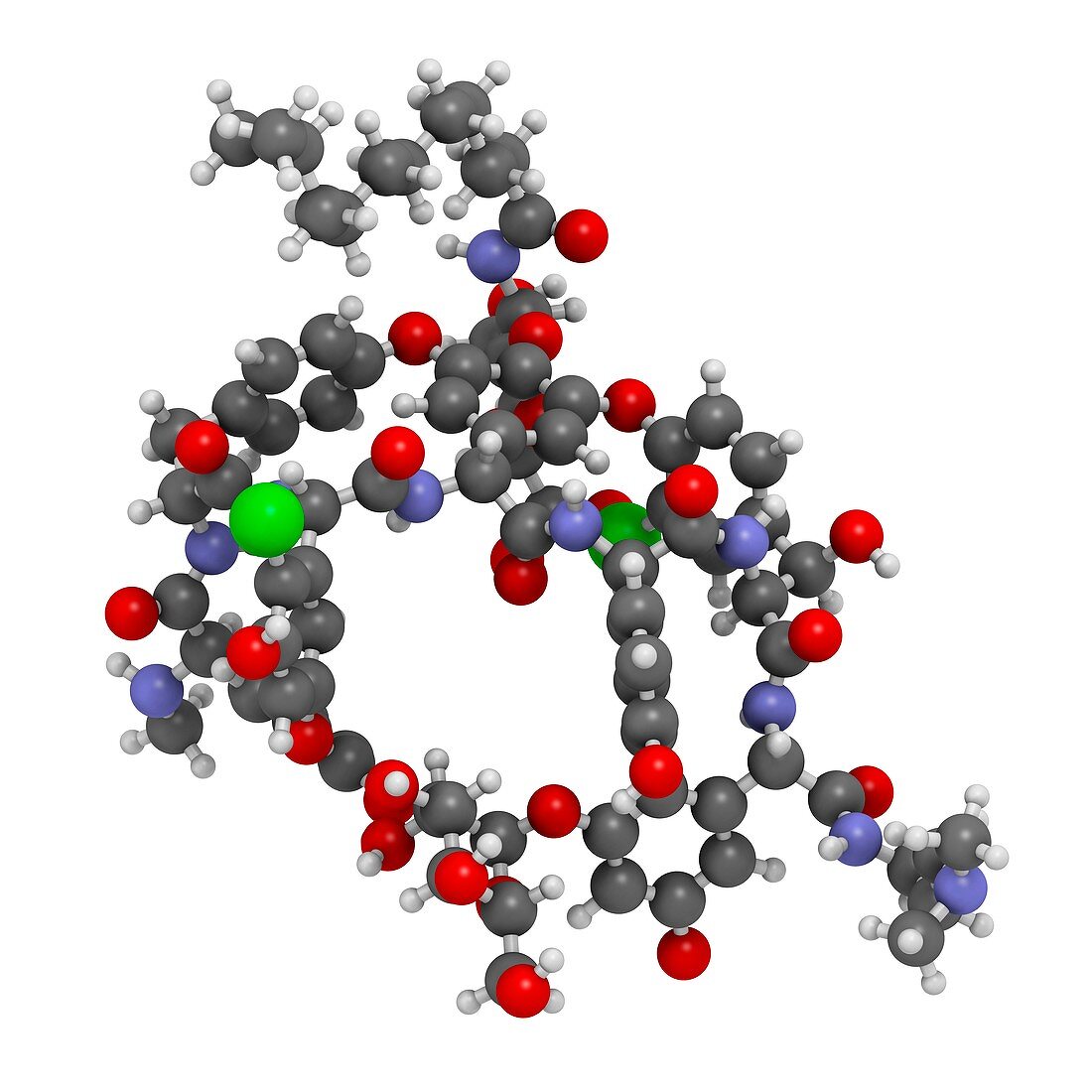 Dalbavancin glycopeptide antibiotic drug