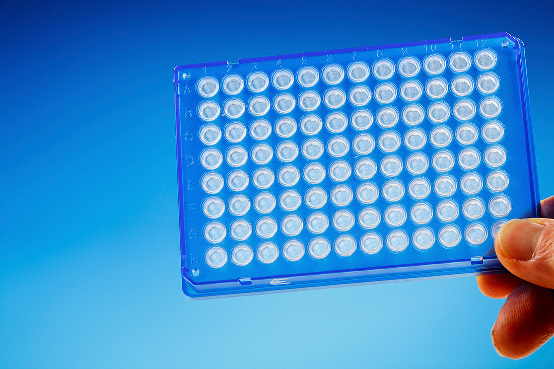 Microtitre plate used in dna research