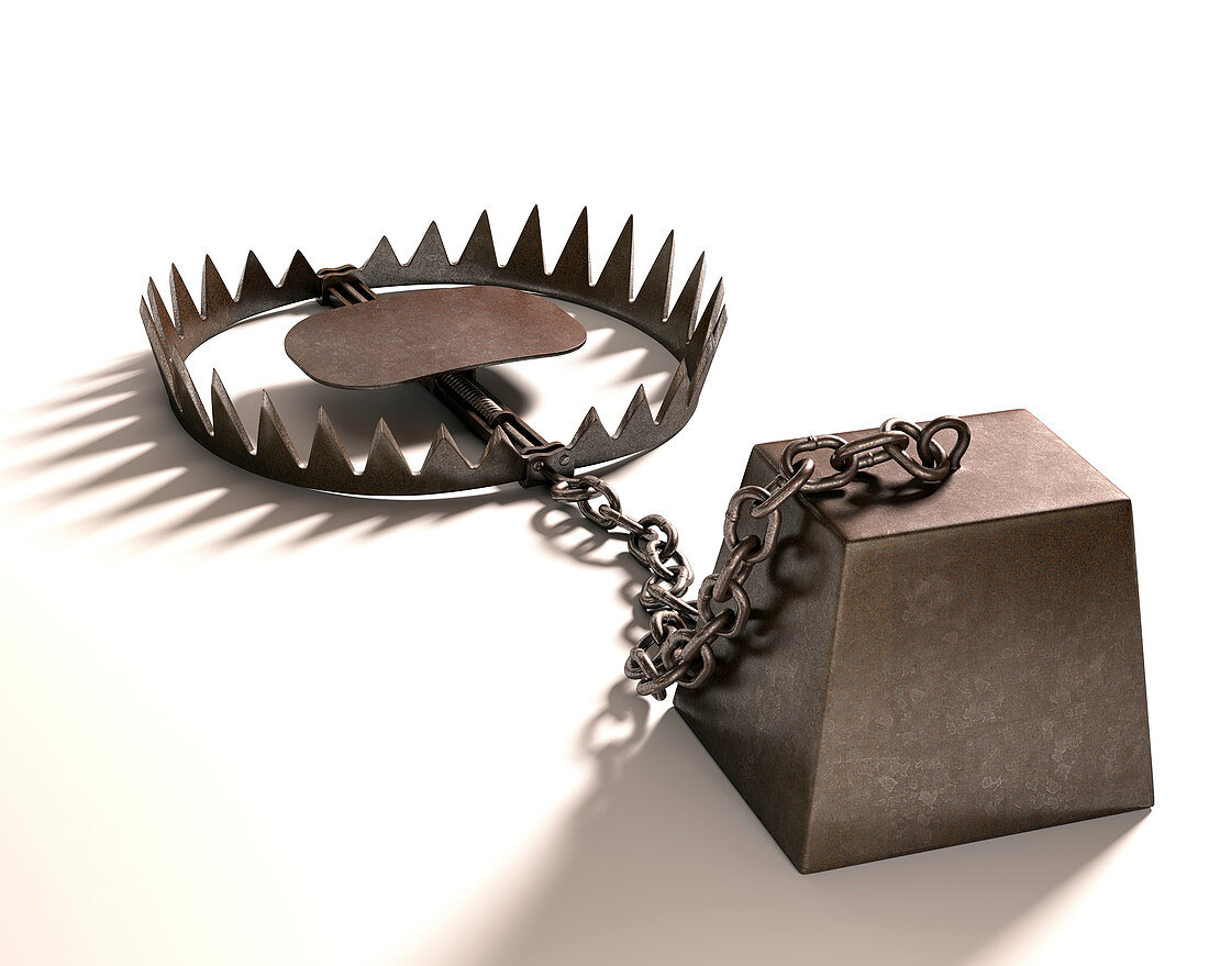 Animal trap and weight,illustration