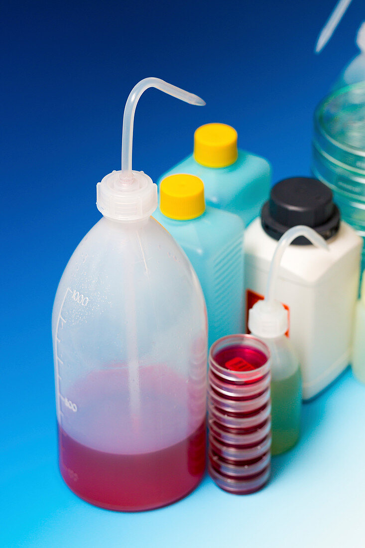 Plastic dispensing bottles and containers