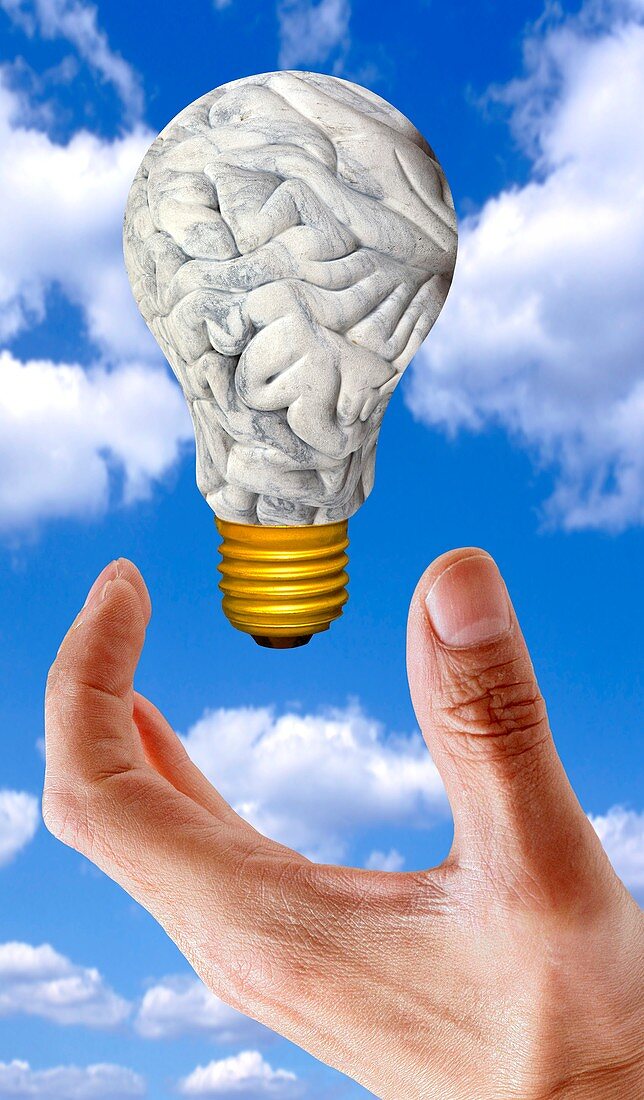 Human brain in shape of lightbulb