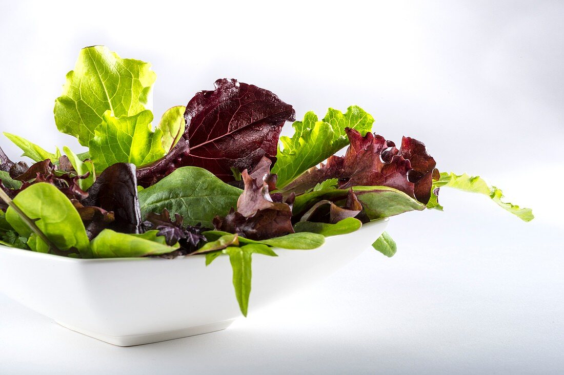 Salad leaves in white bowl