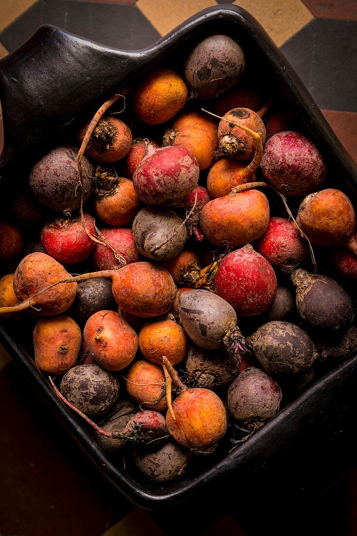 Fresh beetroot