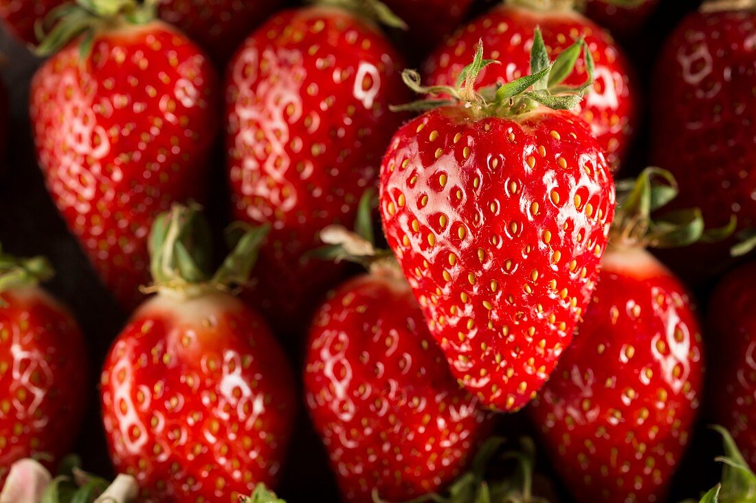 Gariguette strawberries