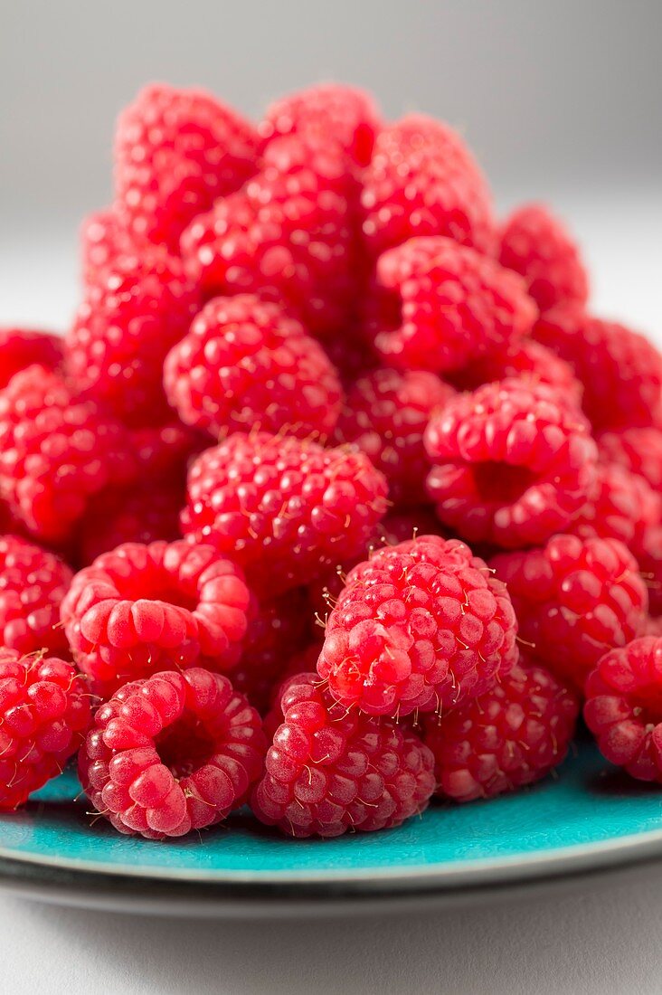 Fresh raspberries