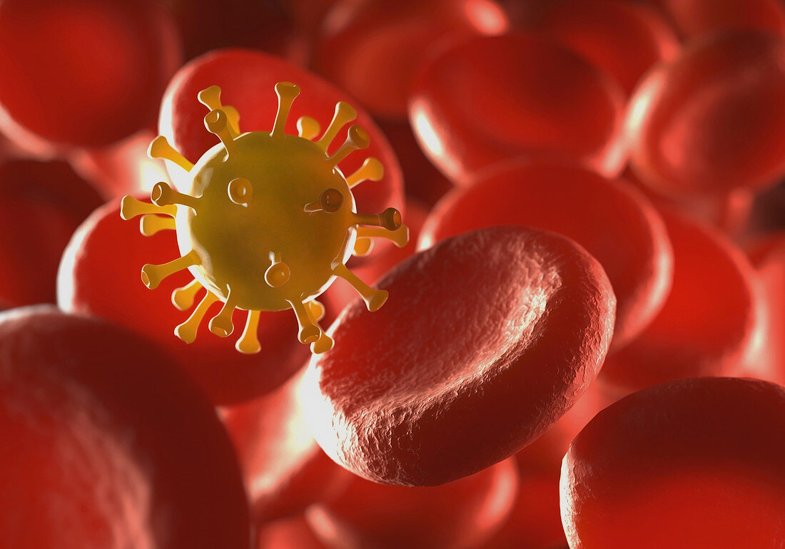 Red blood cells and virus,illustration