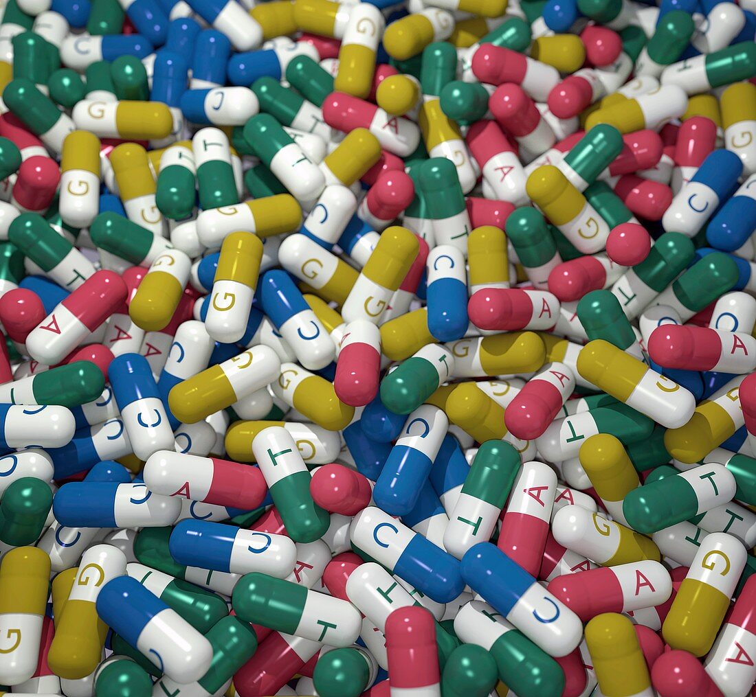 Capsules labelled with bases of DNA