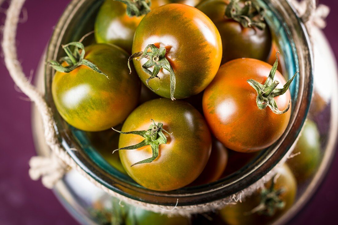 Camone tomatoes