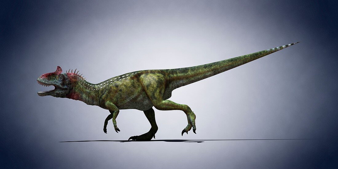 Cryolophosaurus,illustration
