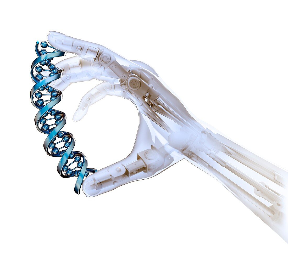 Robot hand holding DNA,illustration