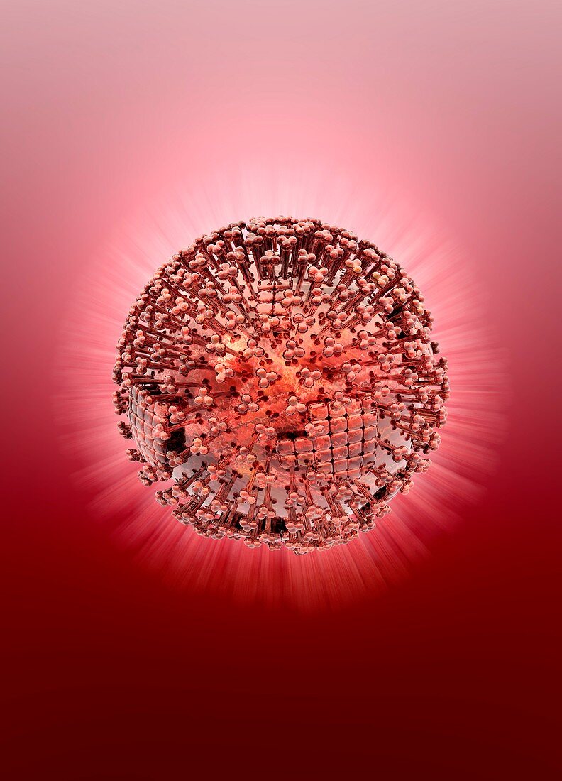 Flu virus,illustration