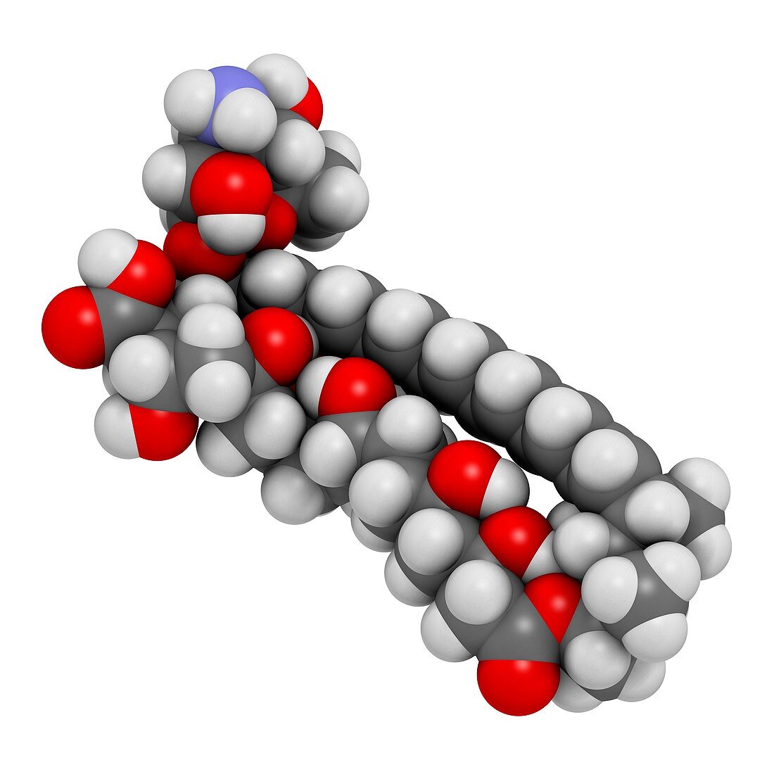 Amphotericin B antifungal drug molecule