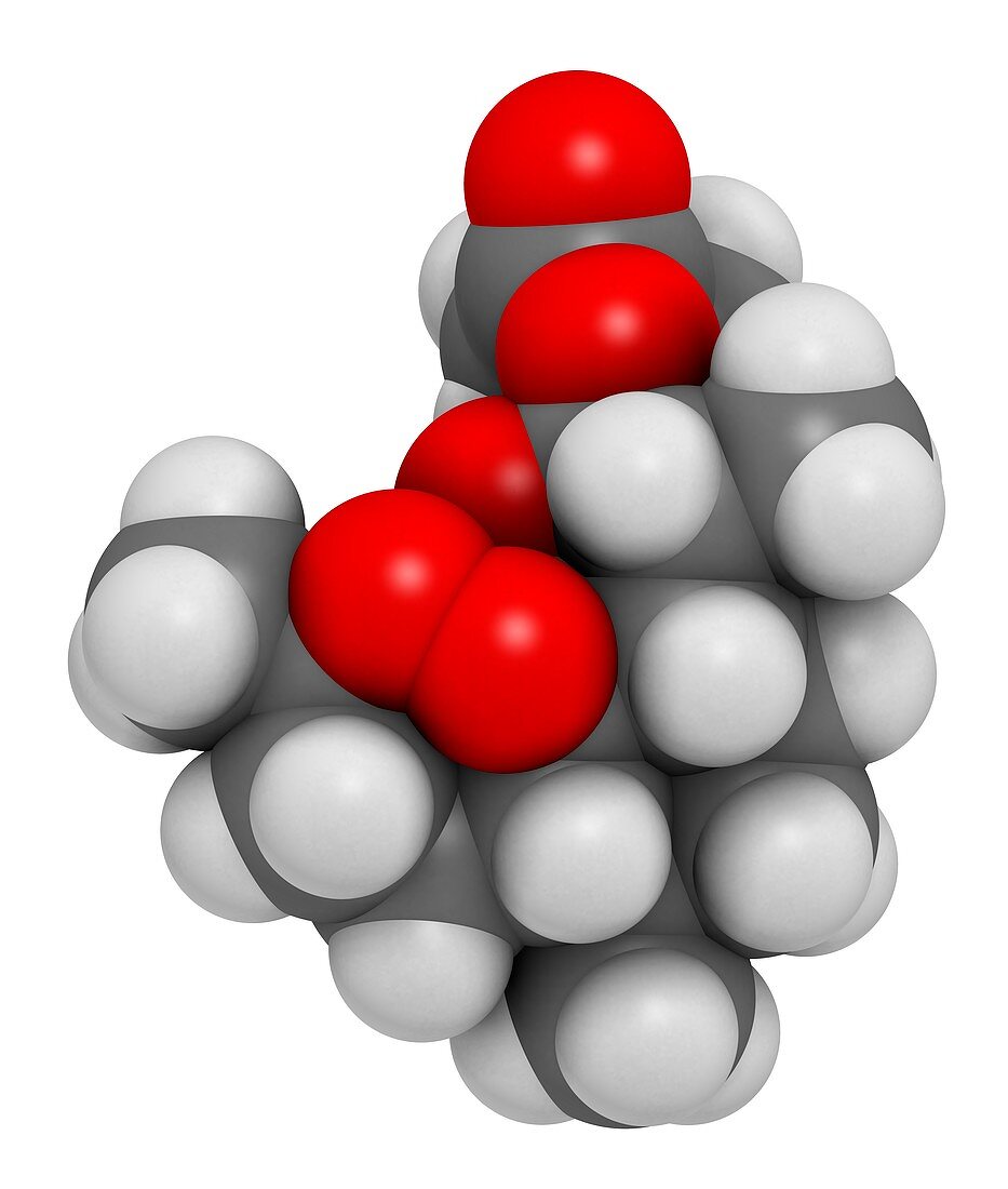 Artesunate malaria drug molecule