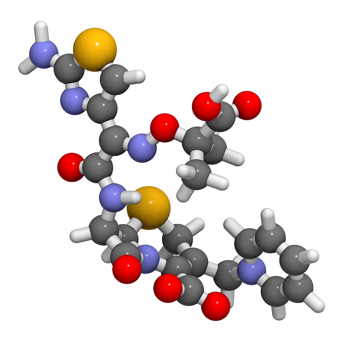 Ceftazidime cephalosporin antibiotic drug