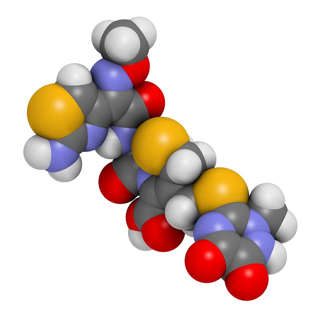 Ceftriaxone antibiotic drug molecule