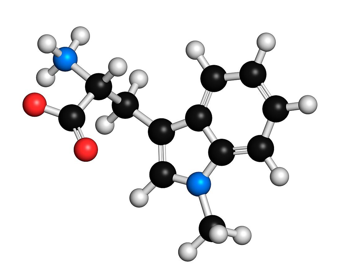 Indoximod cancer drug molecule