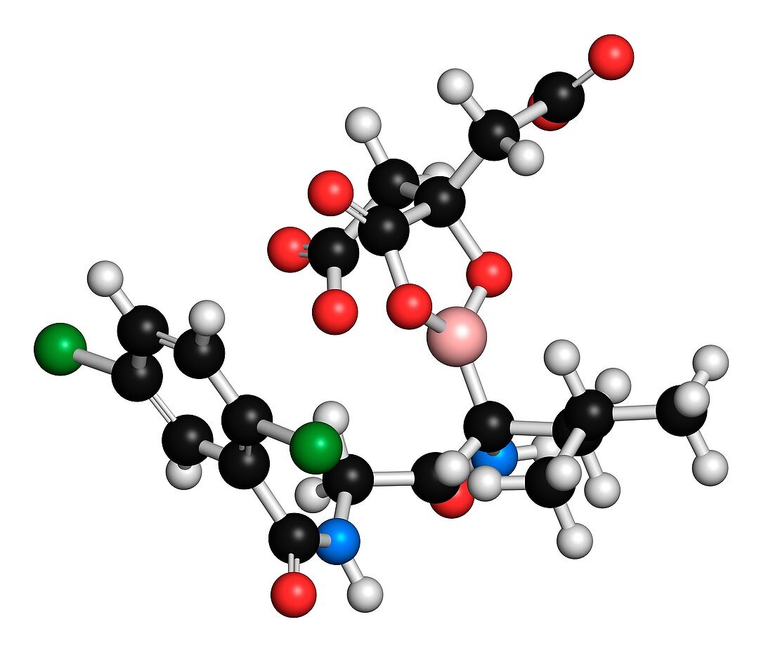 Ixazomib citrate multiple myeloma drug