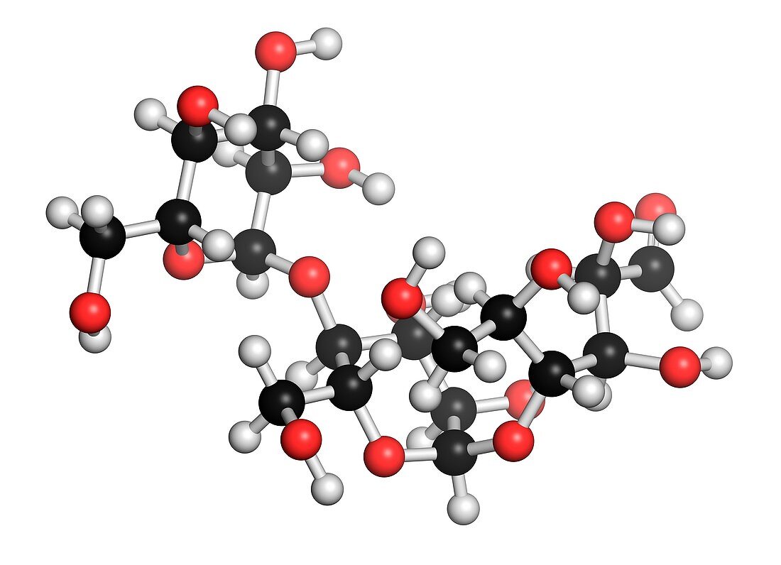 Maltodextrin food additive molecule