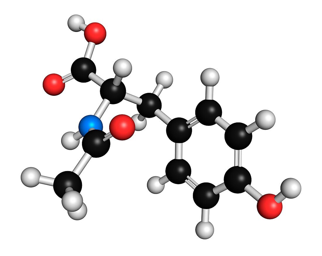 N-acetyl-tyrosine molecule
