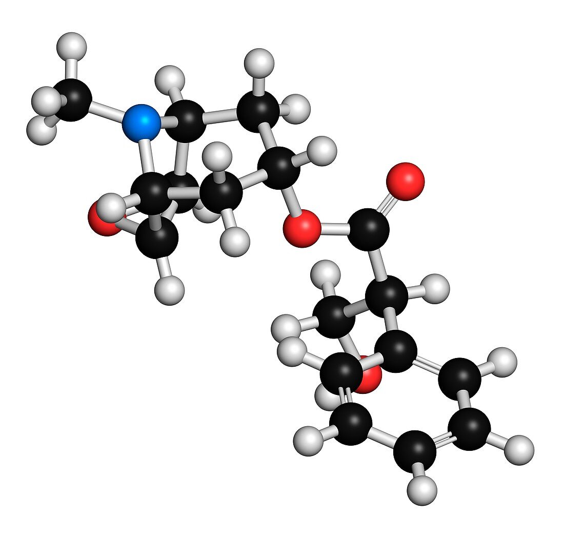Scopolamine anticholinergic drug molecule