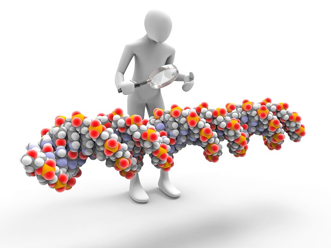 3d man inspecting DNA chain