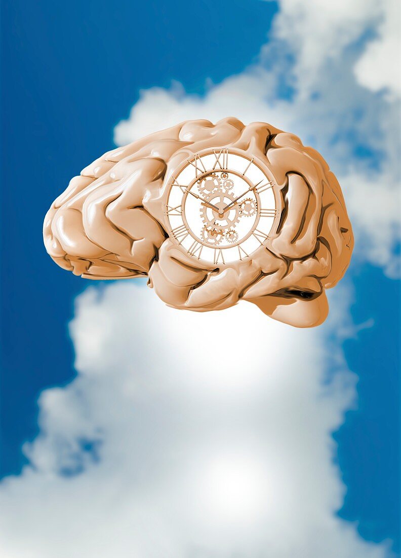 Clockwork brain,illustration