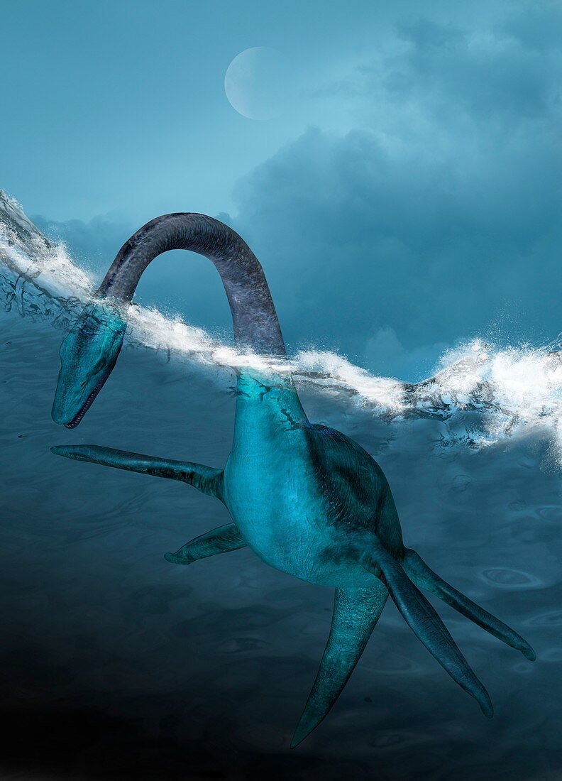 Prehistoric sea creature,illustration