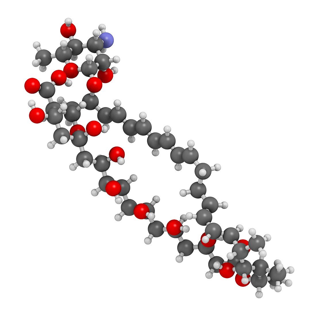 Nystatin antifungal drug molecule