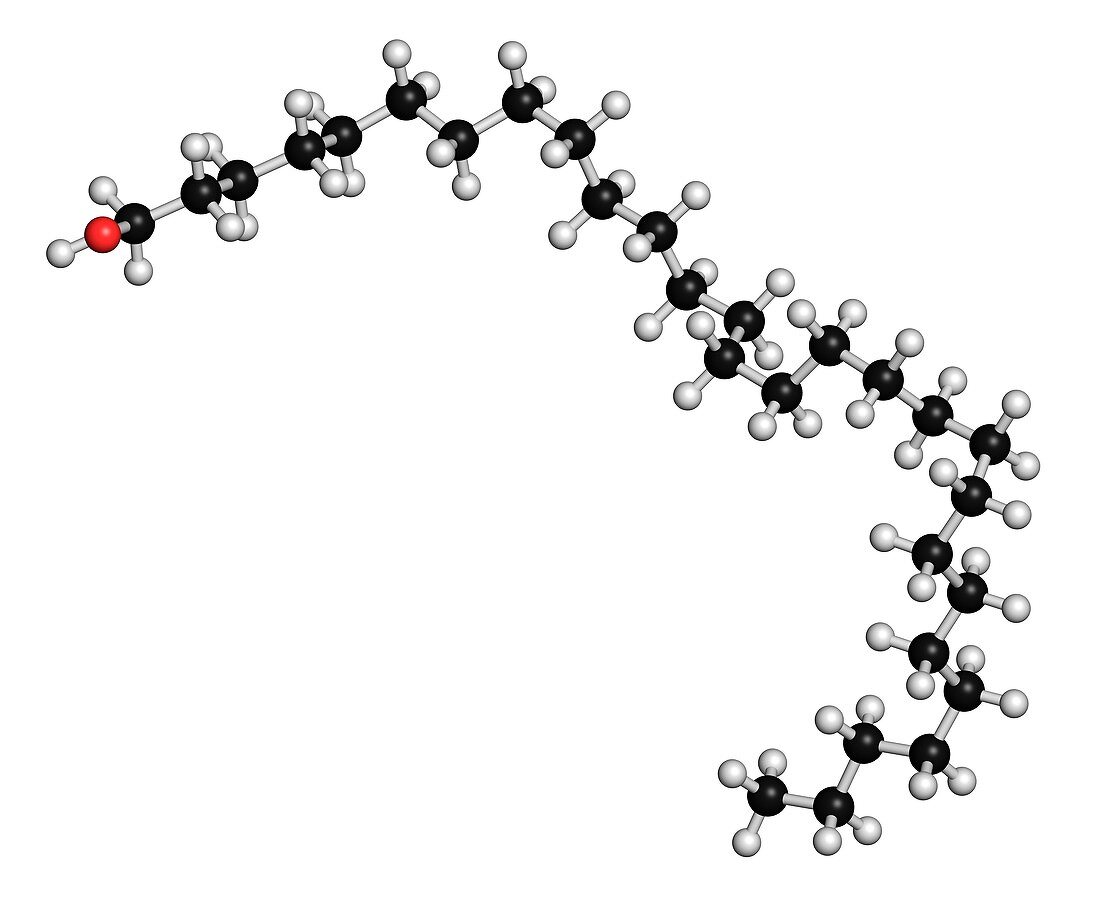 Octacosanol plant wax component molecule