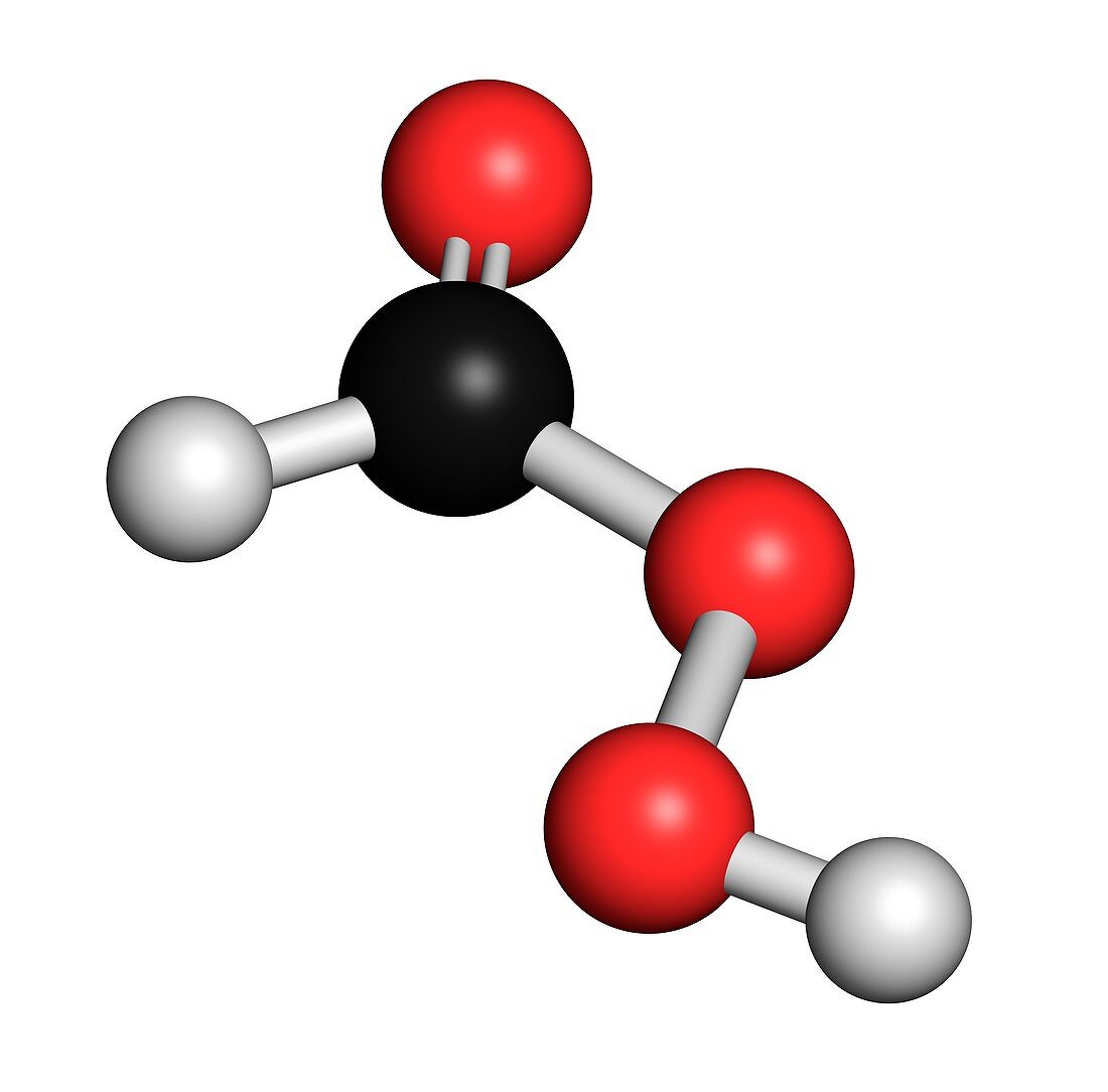Performic acid disinfectant molecule