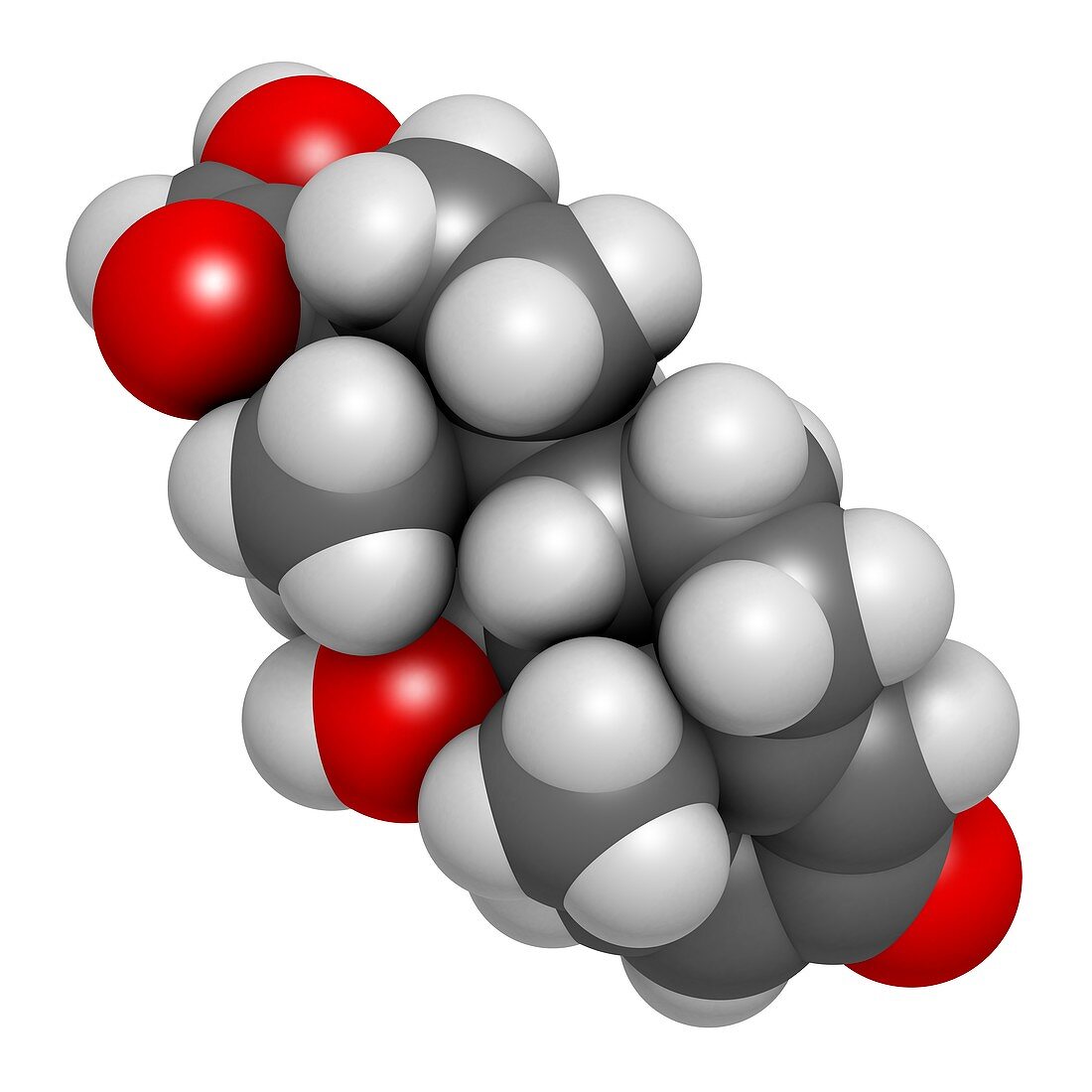 Prednisolone corticosteroid drug molecule